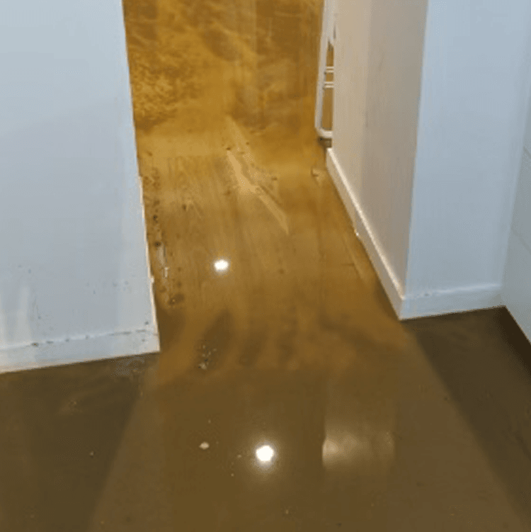 Flood water inside a Sydney property before emergency water extraction