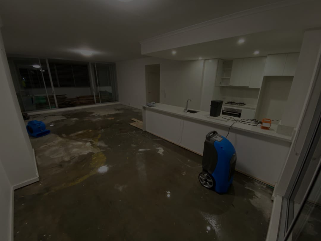 General Cleaning Services