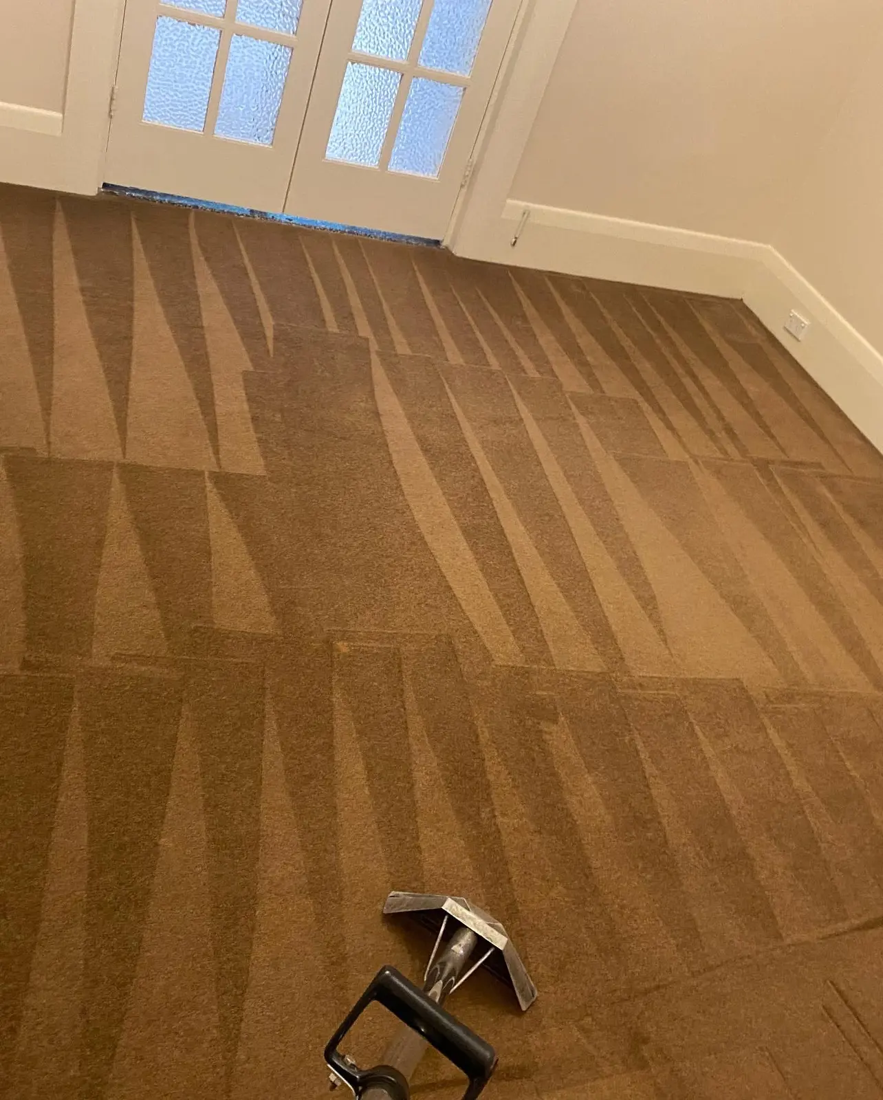 Professional carpet extraction showing clean passes across the carpet