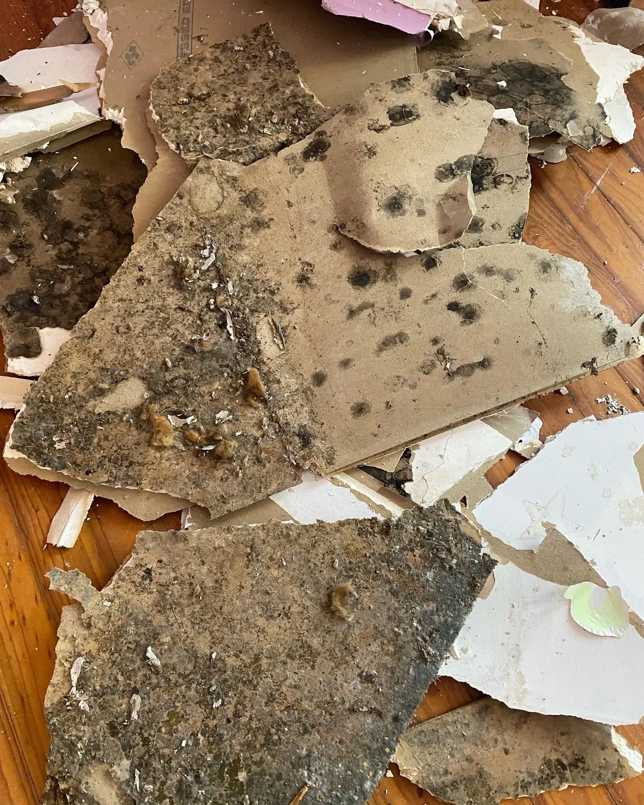 Contaminated material removal