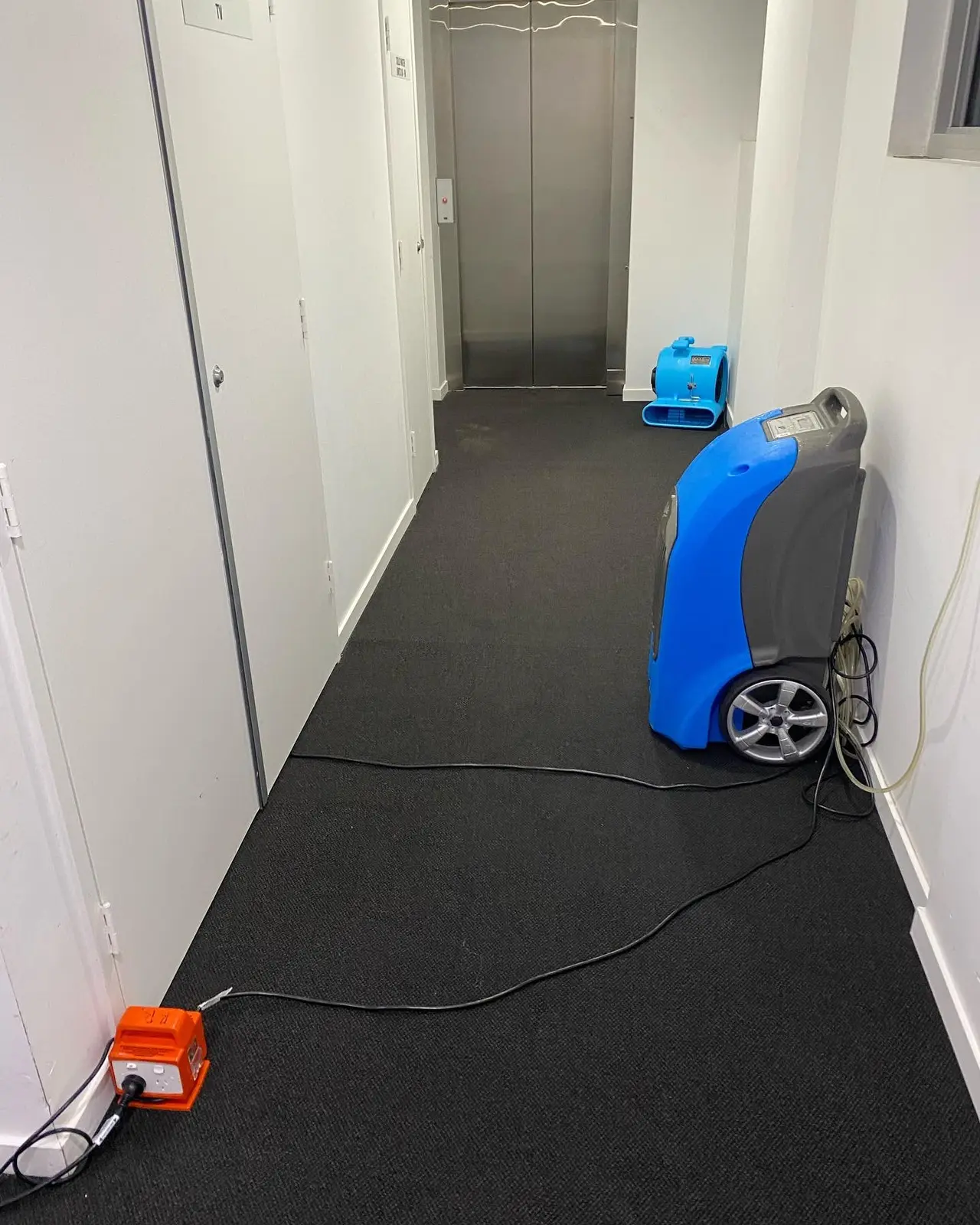 Carpet corridor drying