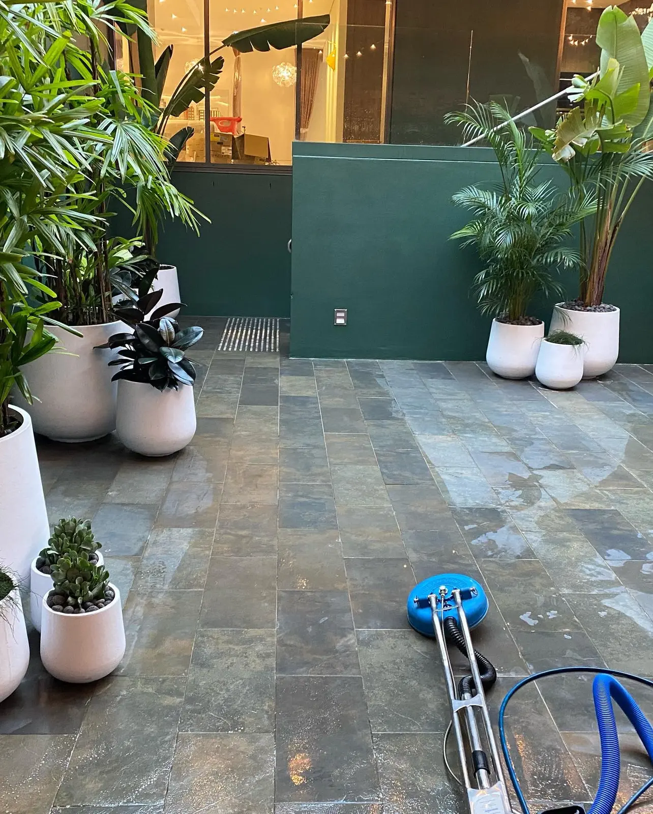 Professional hard floor extraction in progress