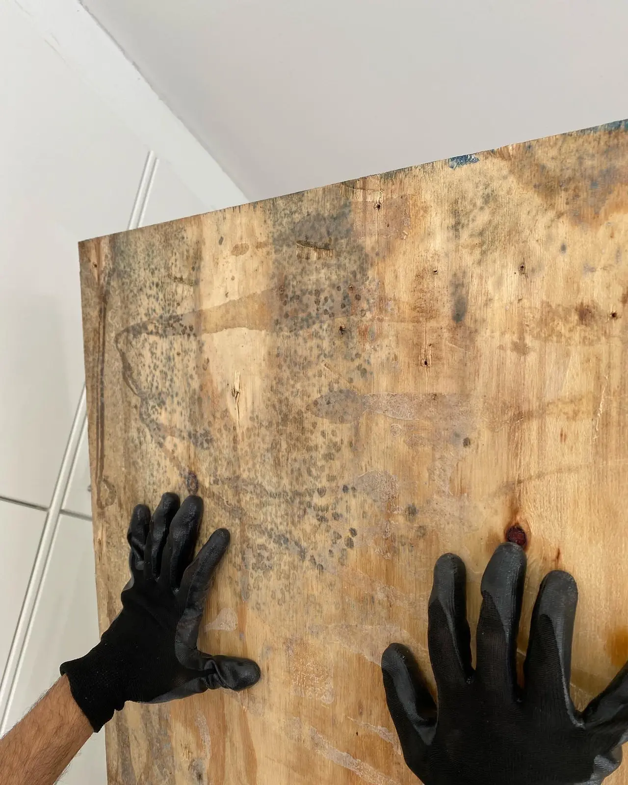 Mould contamination on a removed wall panel