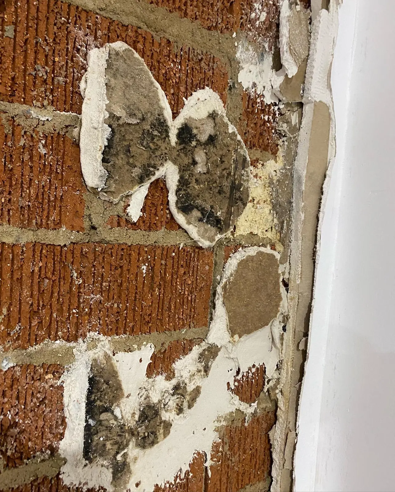 Water damaged wall exposed for assessment
