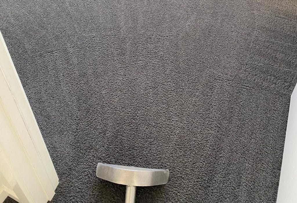 Steam Cleaning Services